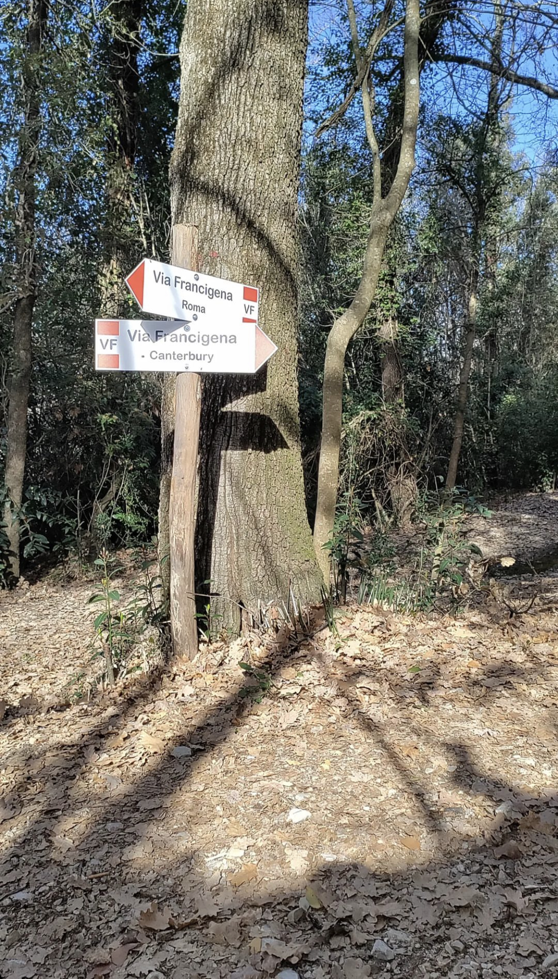 Εικόνα επιλογής