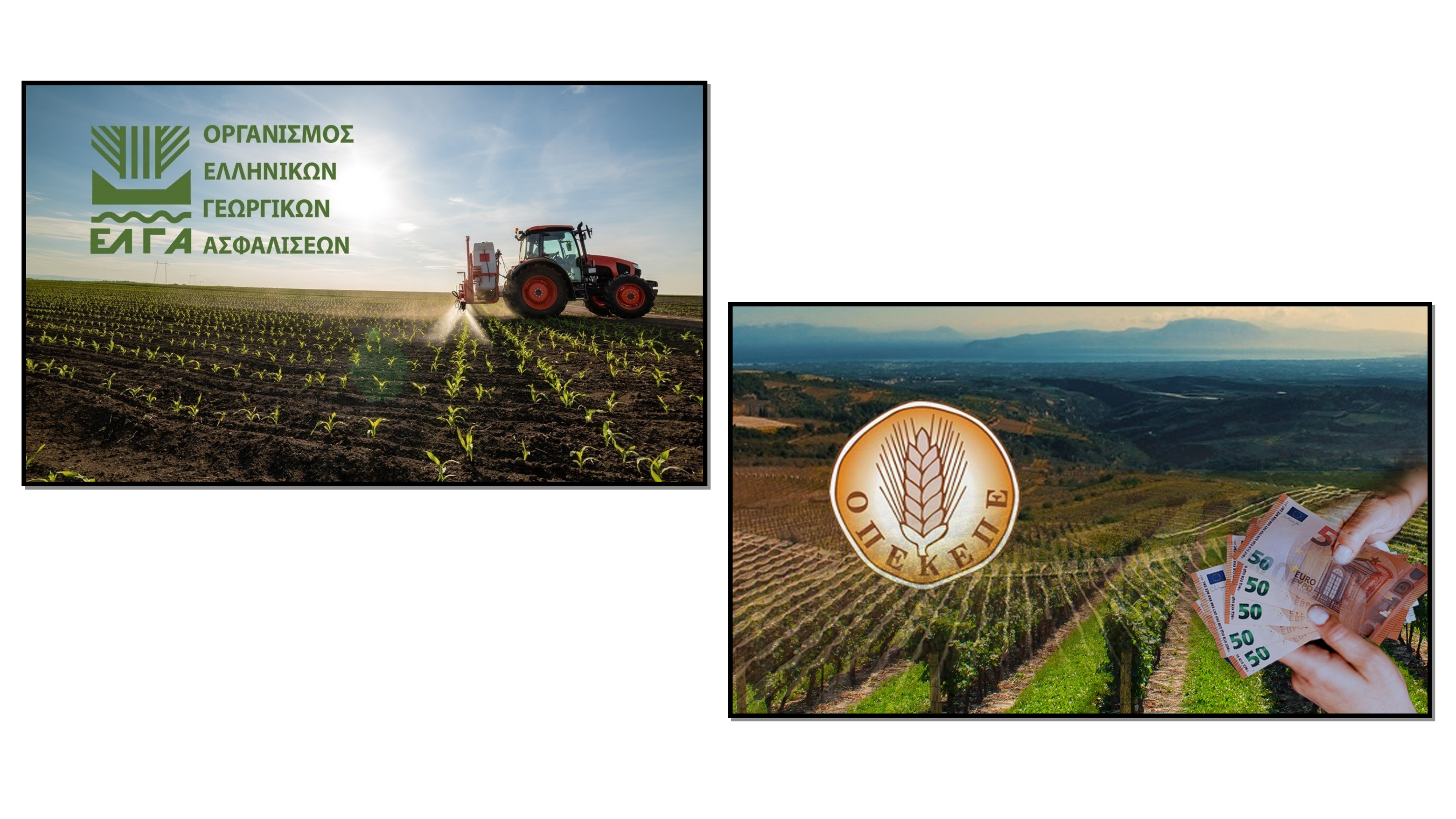 Εικόνα επιλογής