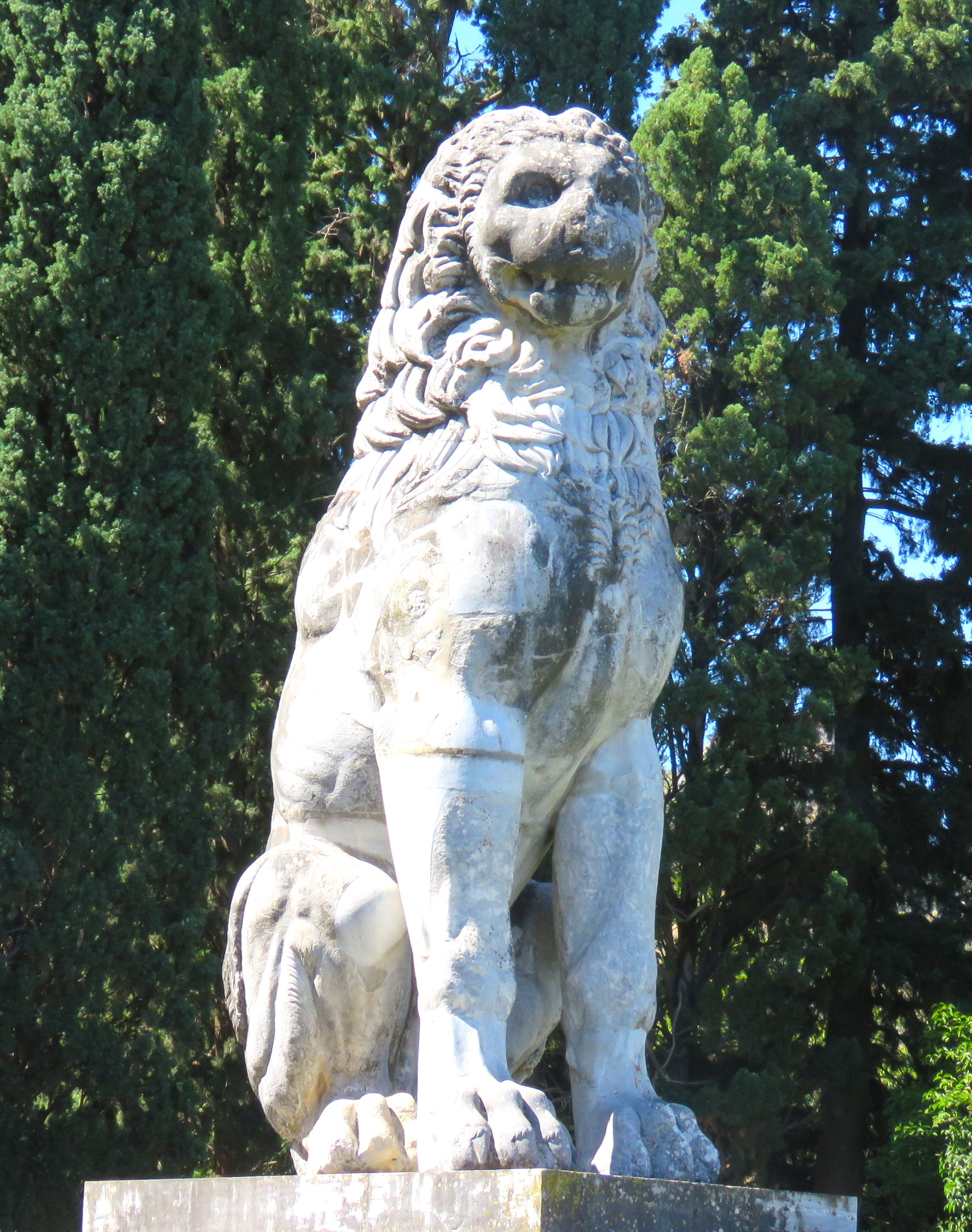 Εικόνα επιλογής