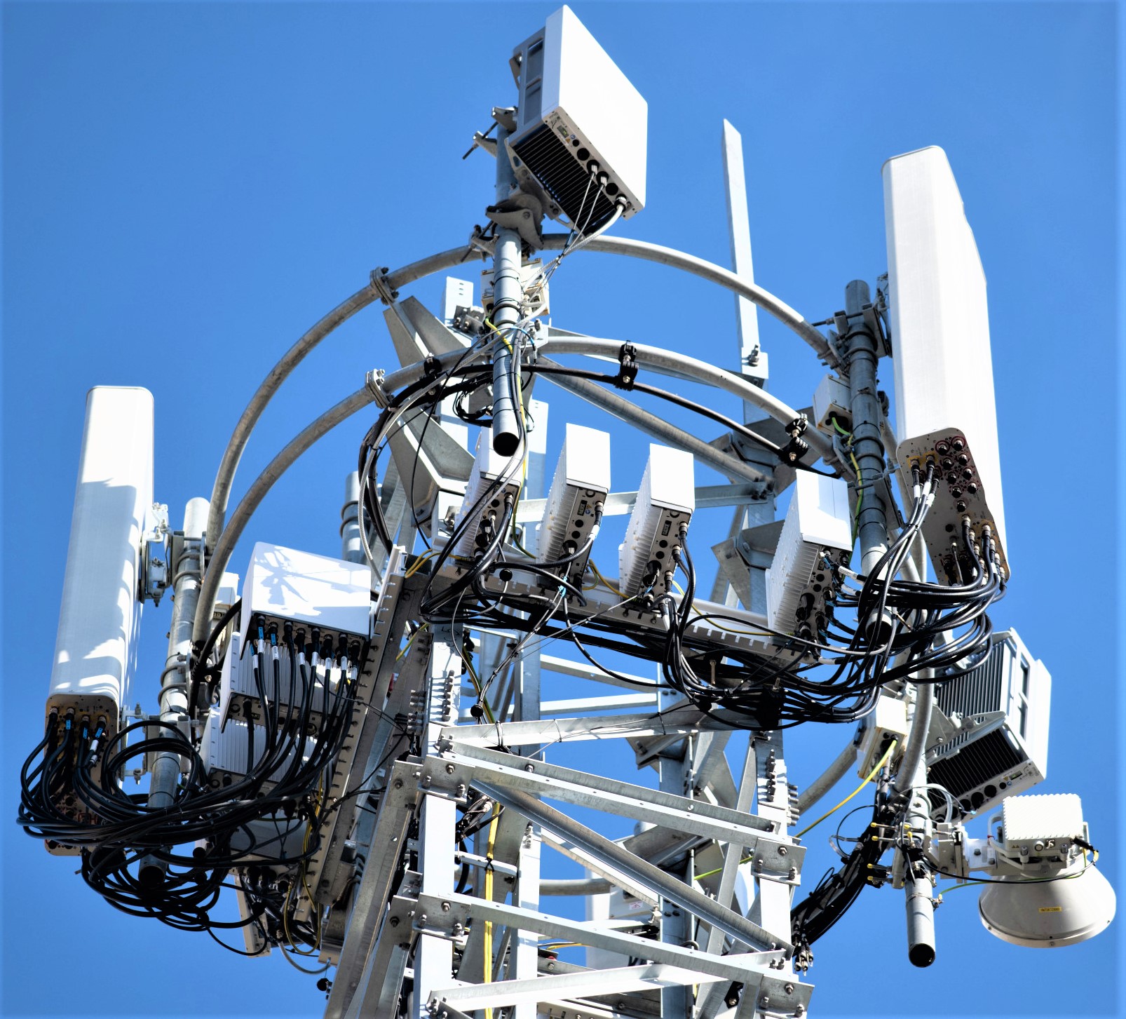 Εικόνα επιλογής